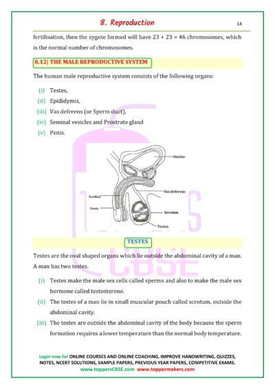 CBSE Class 10 Science Notes Chapter 8 Download in Pdf | Toppers CBSE ...